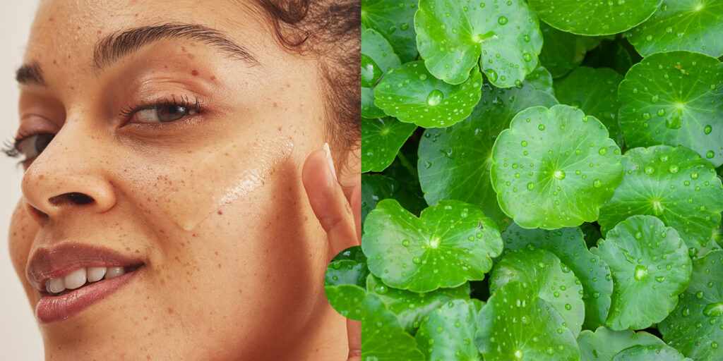 Centella Asiatica Side Effects: What You Need to Know